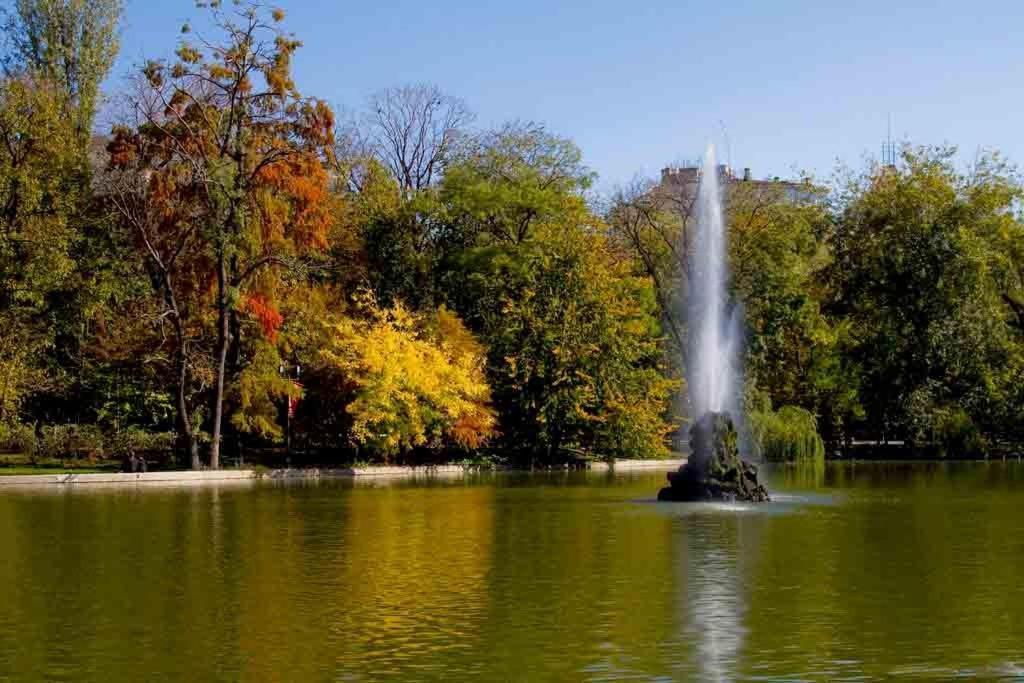 Central Park Бухарест Номер фото